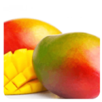 mangue