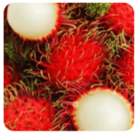 rambouton