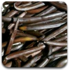 vanil-100x100